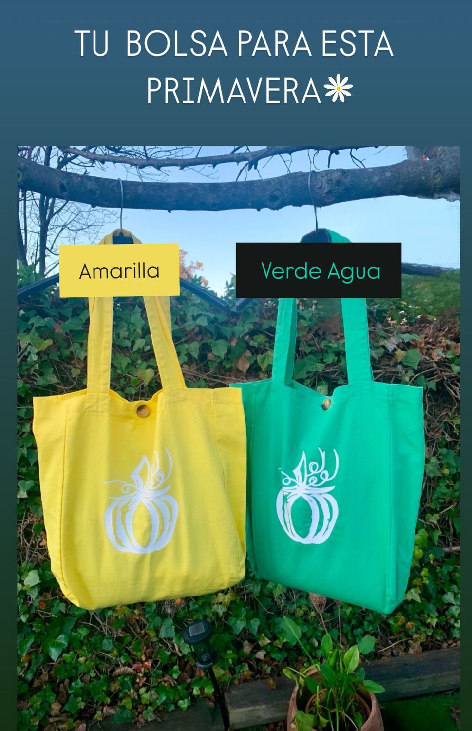 Bolsa Azul Calabaza