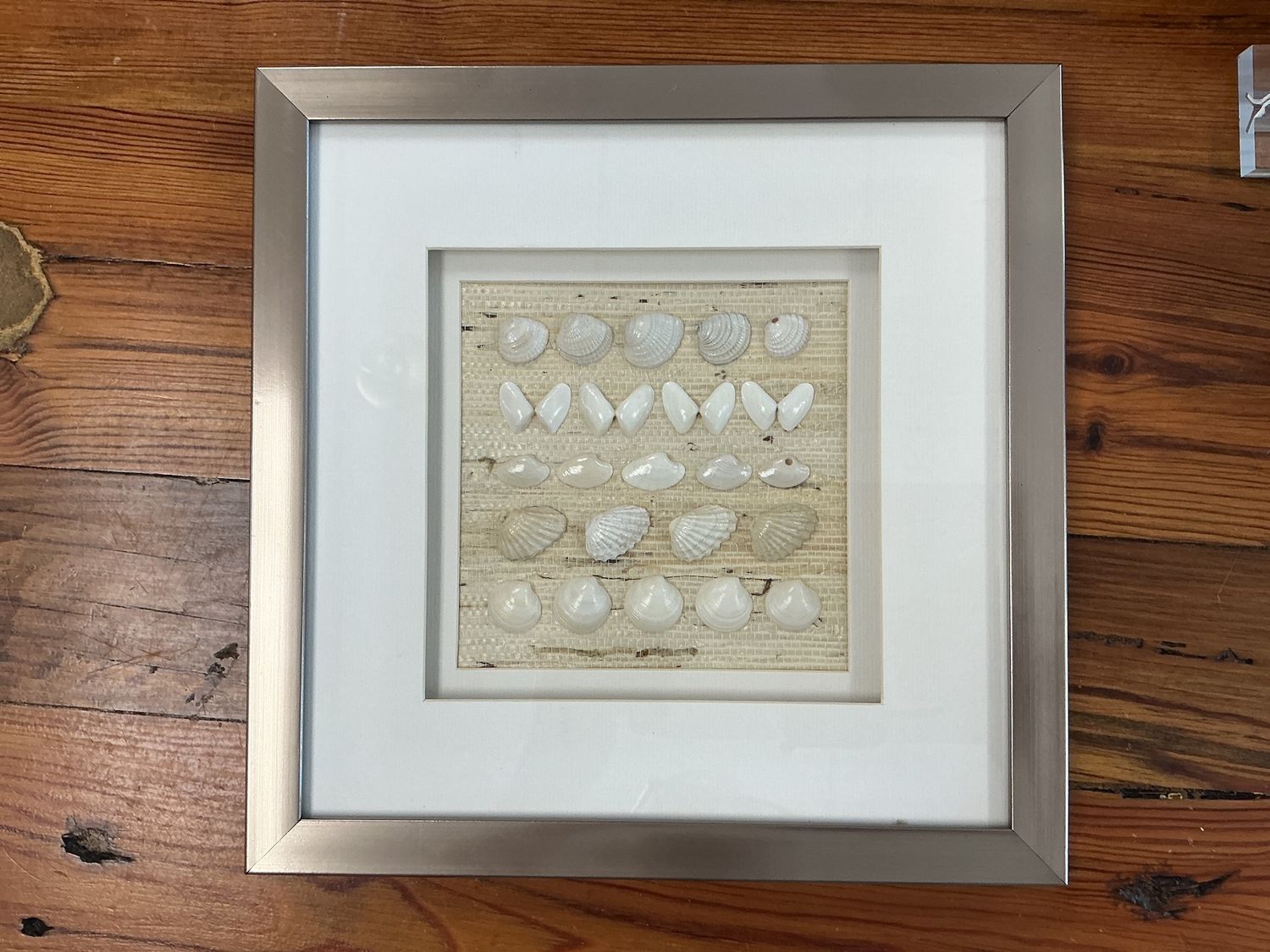 White Shell Mix 11x11
