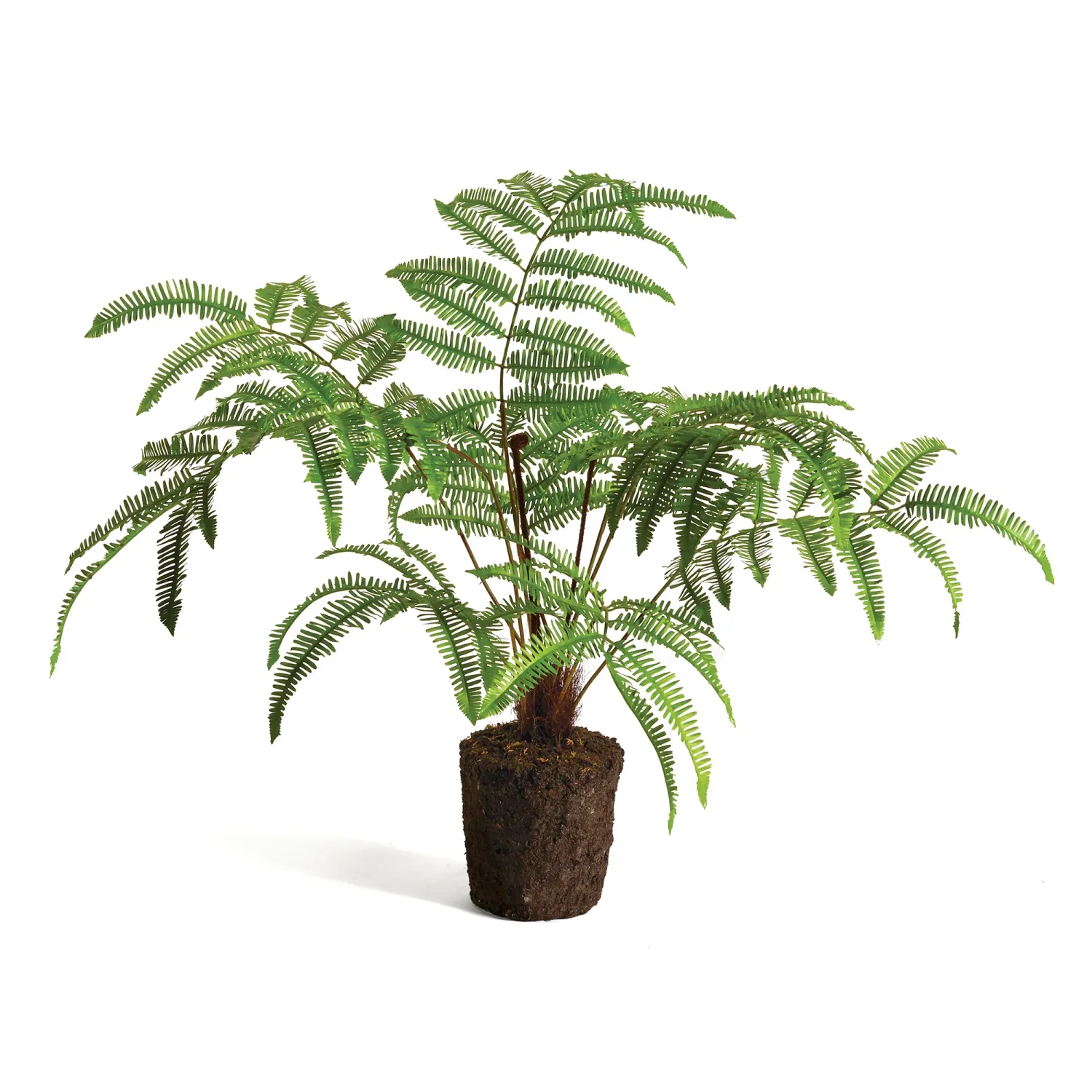 Forest Fern Drop-In (15&quot;)