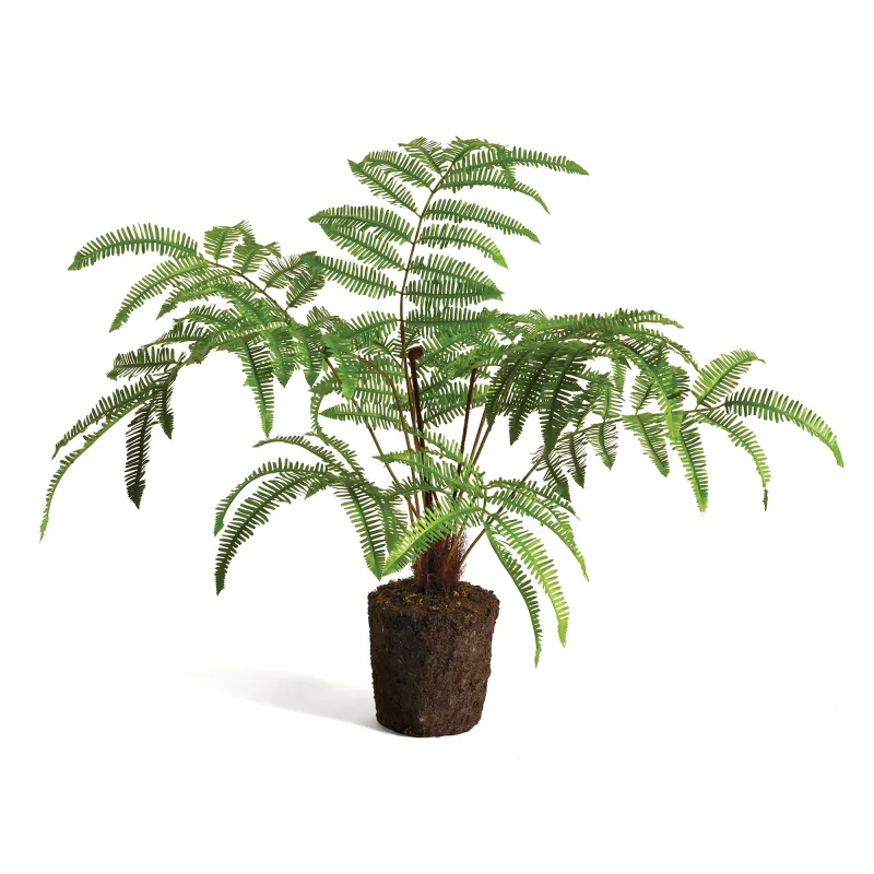 Forest Fern Drop-In (15&quot;)
