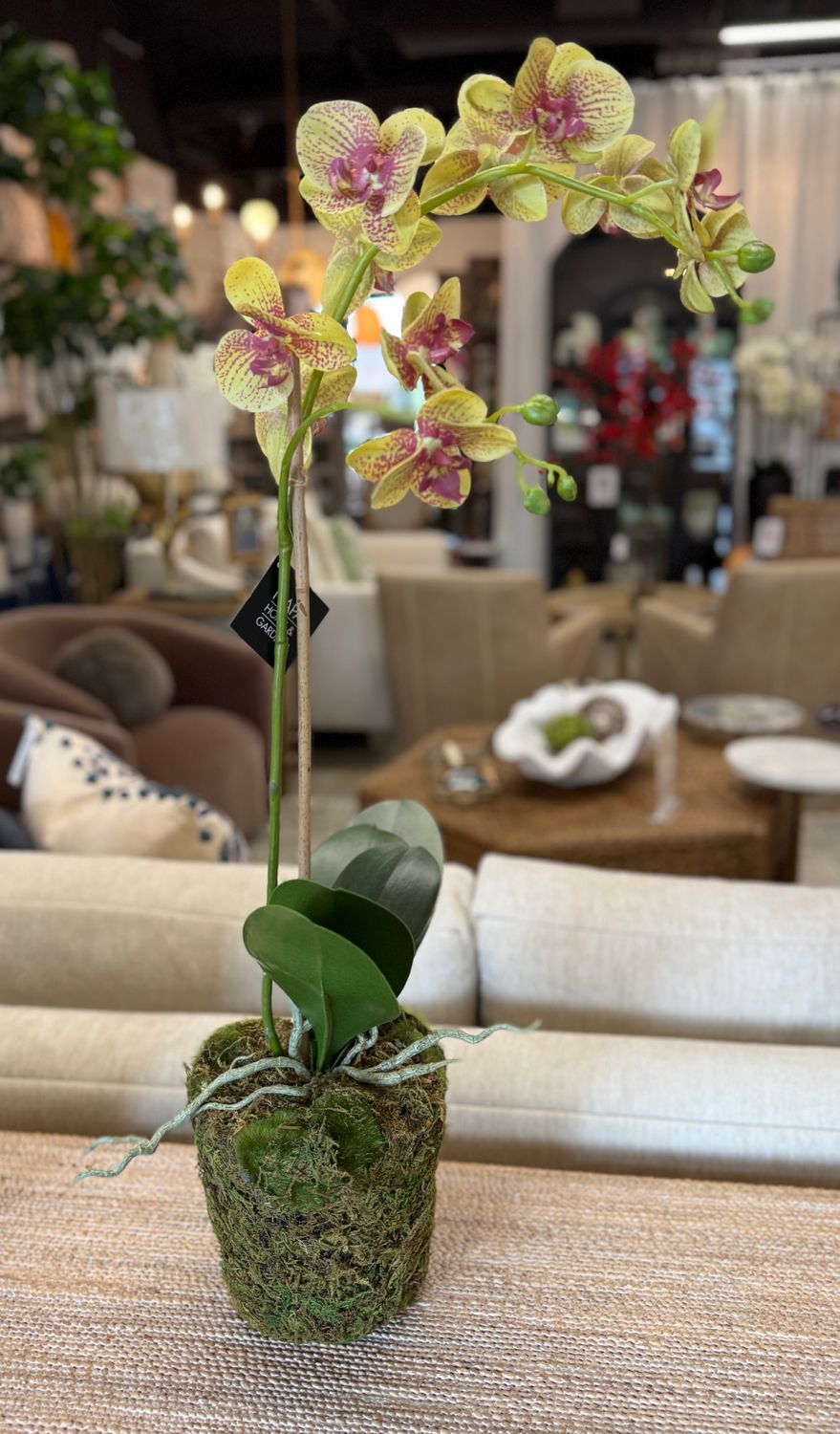 Orchid Drop-in (26”)