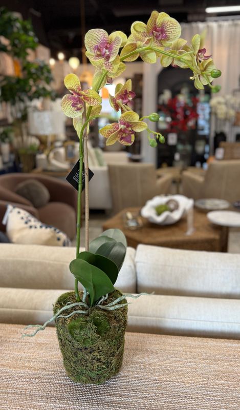 Orchid Drop-in (26”)
