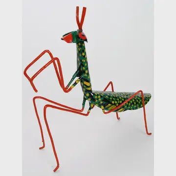 Praying Mantis