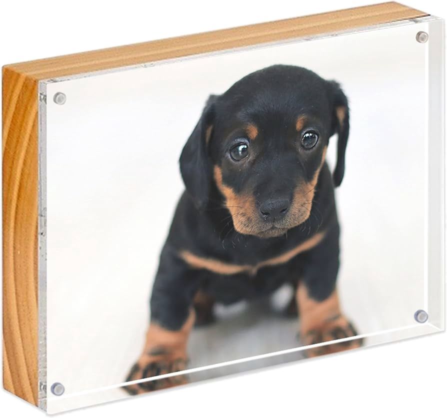4x6 Acrylic Wood Back Frame