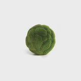 Mood Moss Orb (4&quot;)
