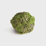 Mossy Lichen Orb (4&quot;)