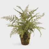 Soft Fern Drop In (13&quot;)