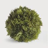 Cypress Orb (6.5&quot;)