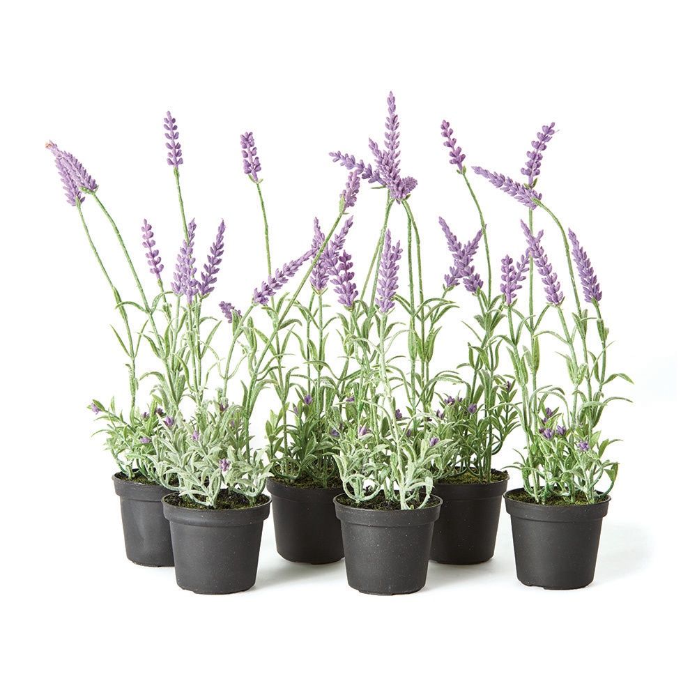 13” French Lavender Drop-in