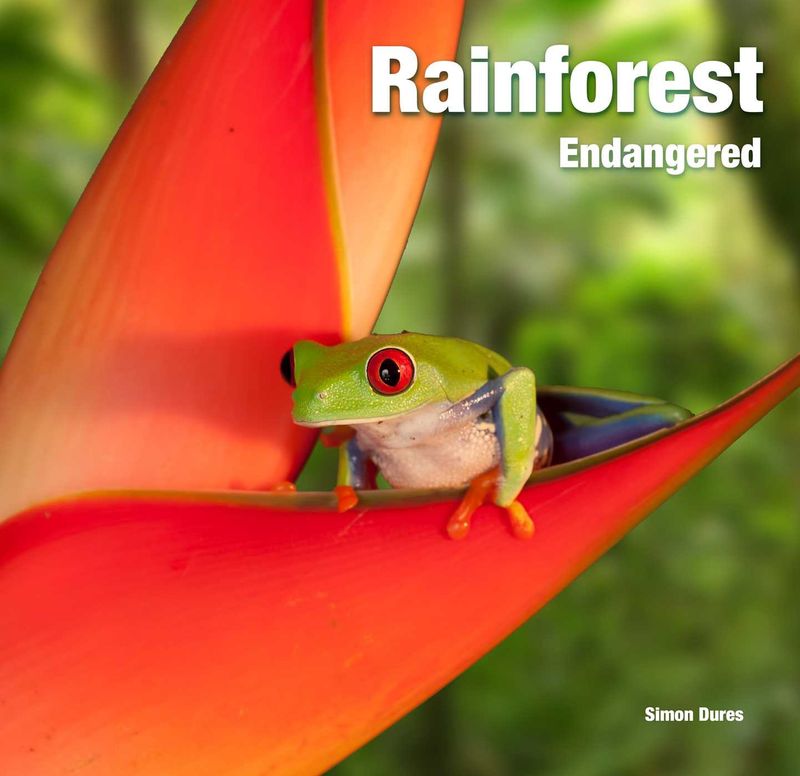 Rainforest Endangered Book