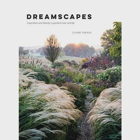 Dreamscapes