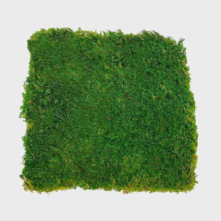 Preserved Flat Moss (Box of 2, 12&quot;)