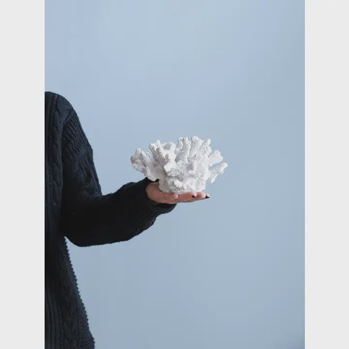 White Coral Sculpture