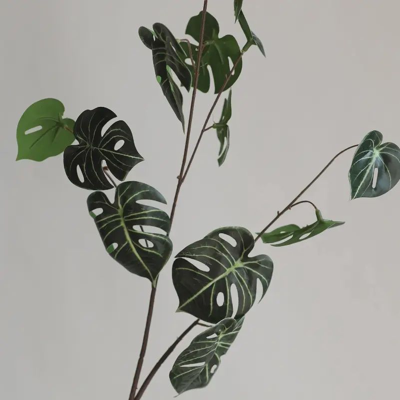 Soft Touch Monstera Spray (Dark Green)