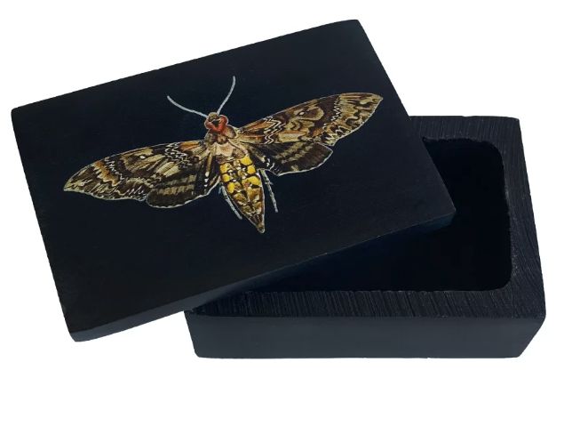 Hawk Moth Black Soapstone Box