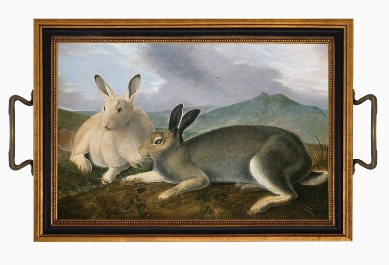 Audubon&#39;s Arctic Hare Tray