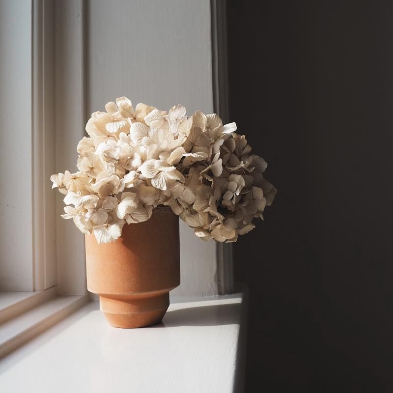 Hoff Rosa Pot 25cm/H12" (w/Saucer)