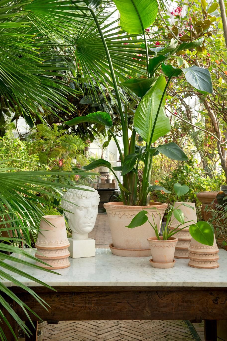 Kobenhavner Rosa 25cm/H8.5"