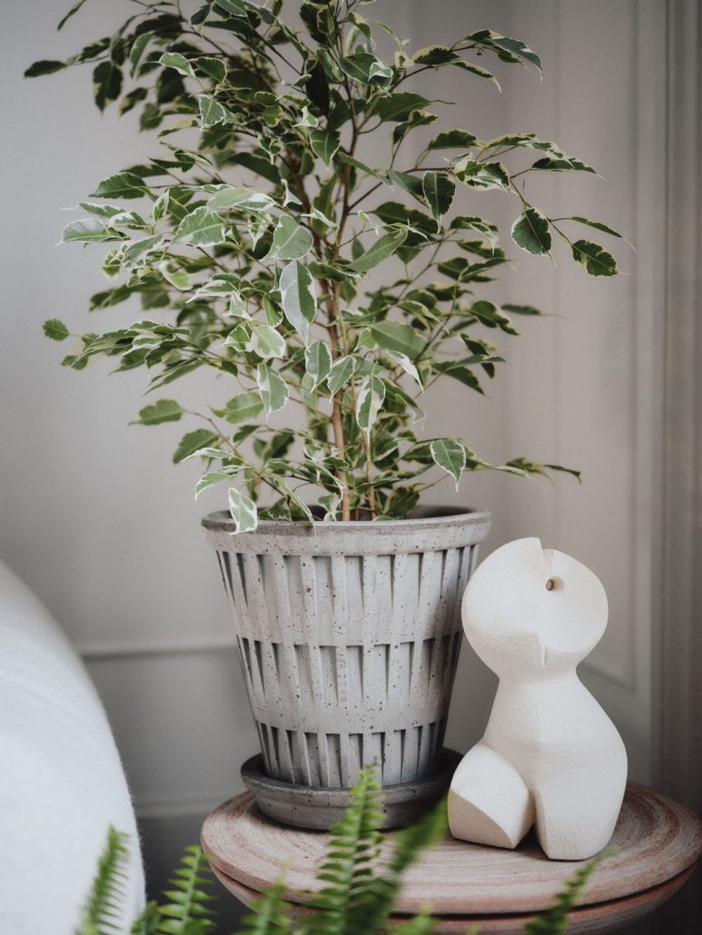 Pantheon Grey 16cm/H6.3"