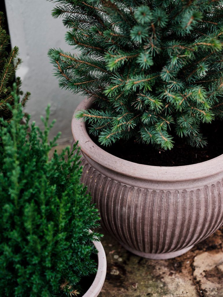 Piccolina Grey 40cm/H14.2"