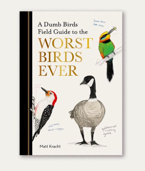 Dumb Birds Field Guide To the Worst Birds Ever