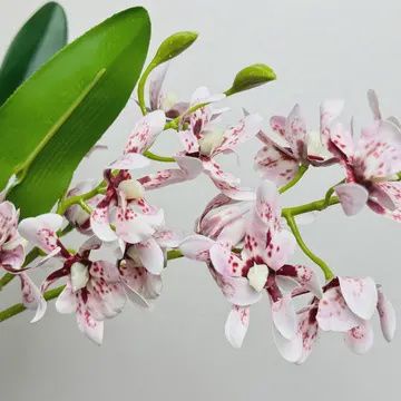 17" Artificial Orchid