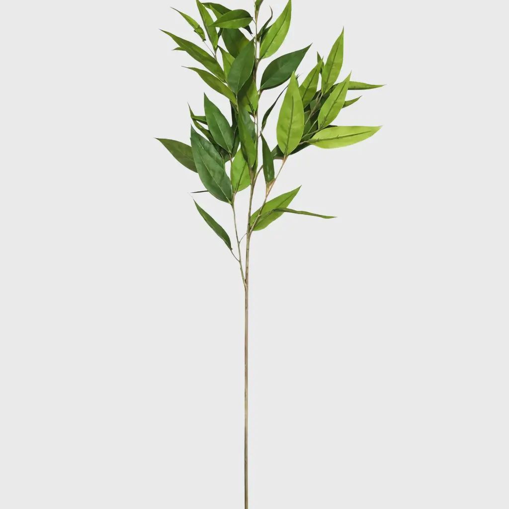 41" Frosty Eucalyptus