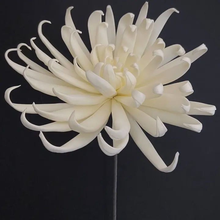 Cream Foam Flower
