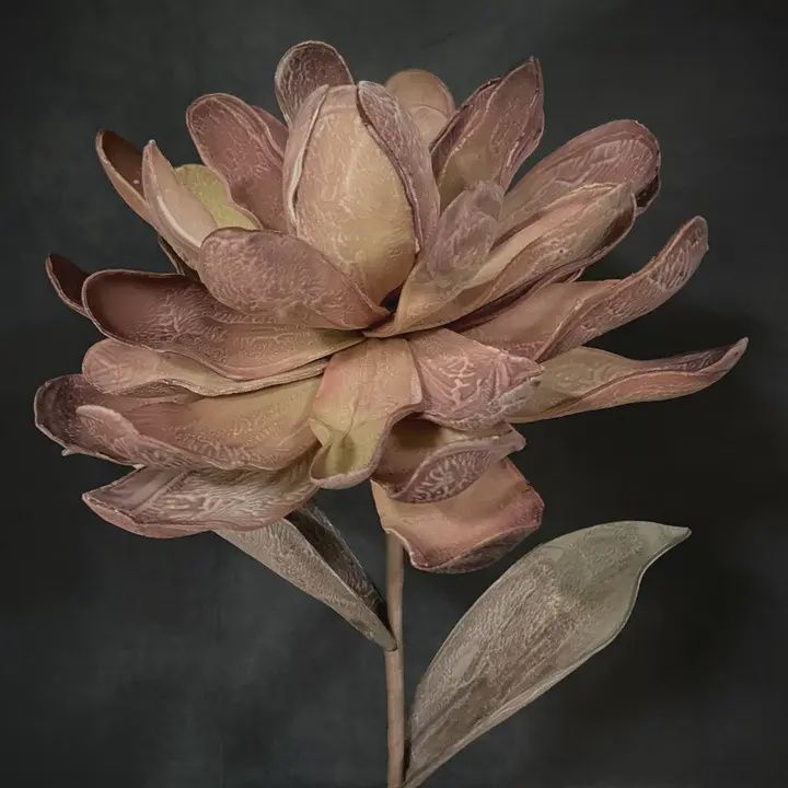 Multi-Color Succulent