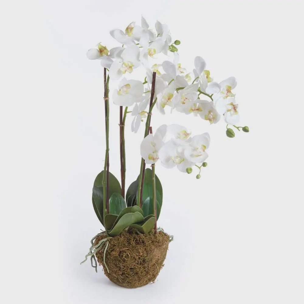 30" Orchid Drop-in (White)