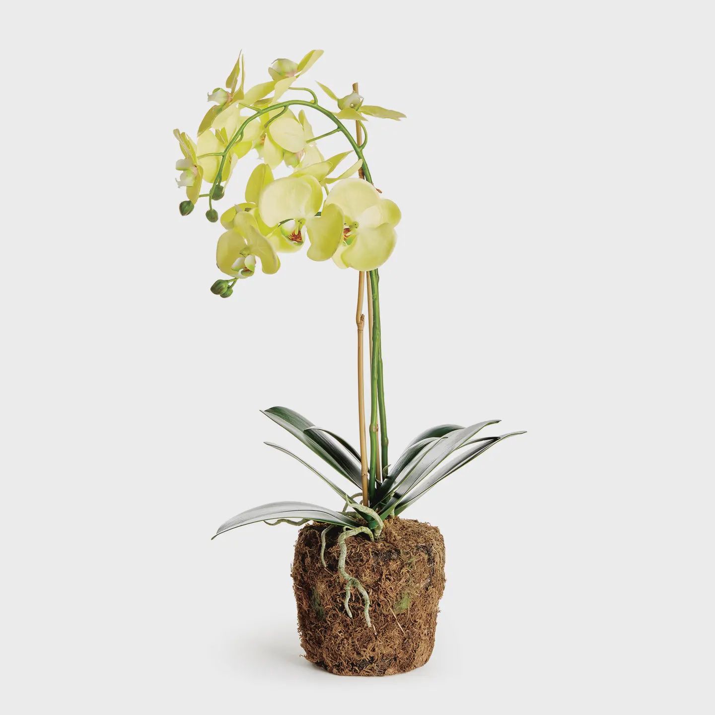 23" Yellow Orchid Drop-in