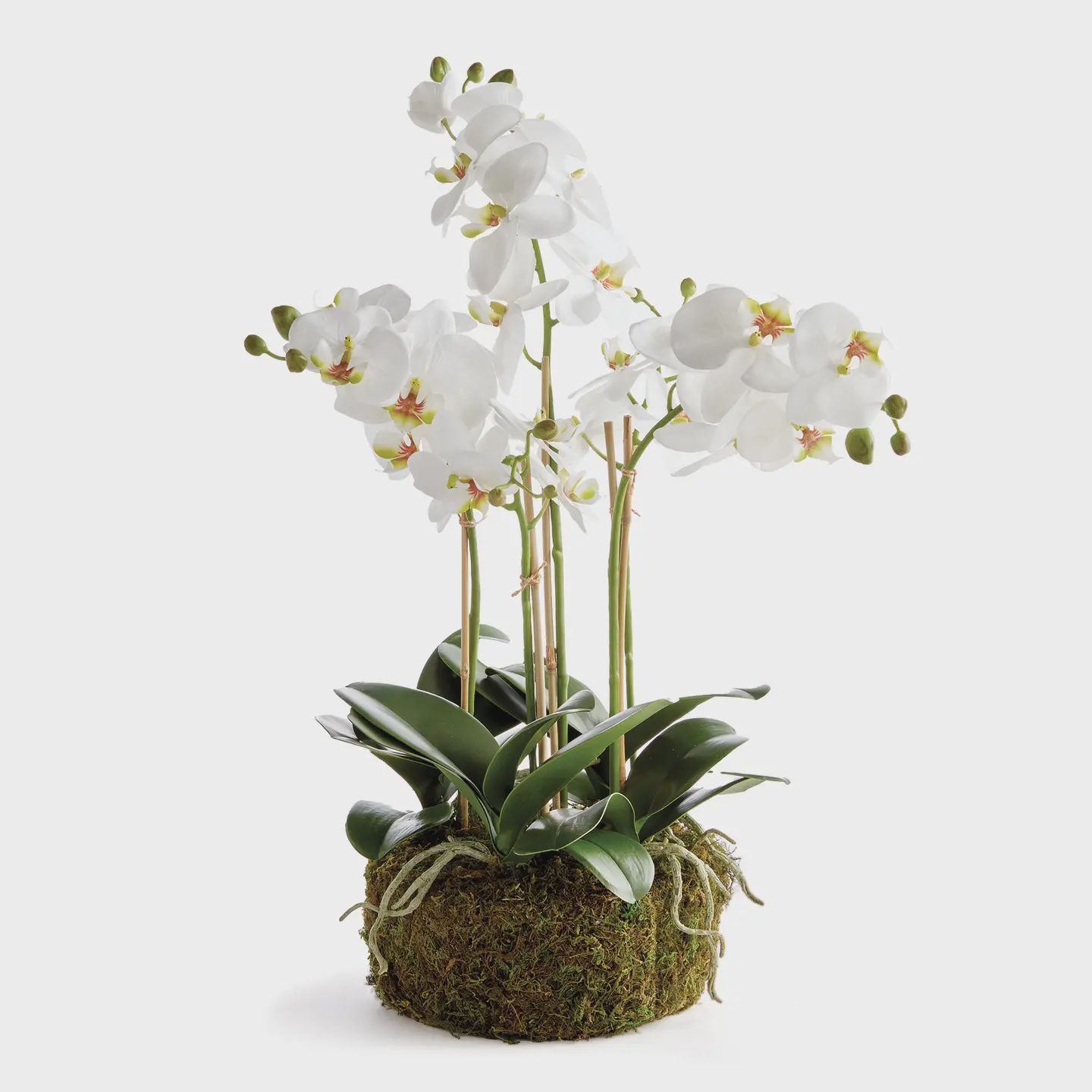 20" Orchid Bowl Drop In