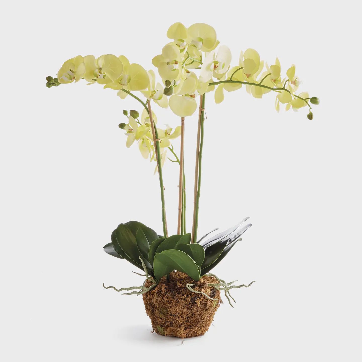 30" Yellow Orchid Drop-in