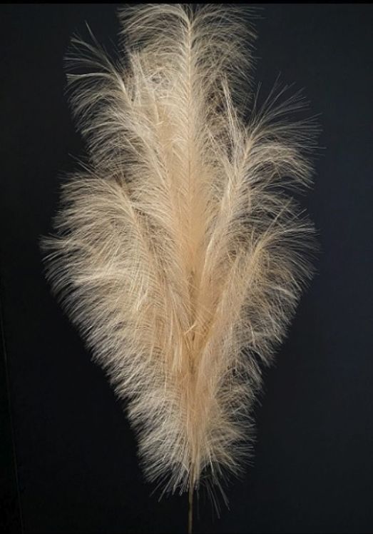 45" Feather Stem