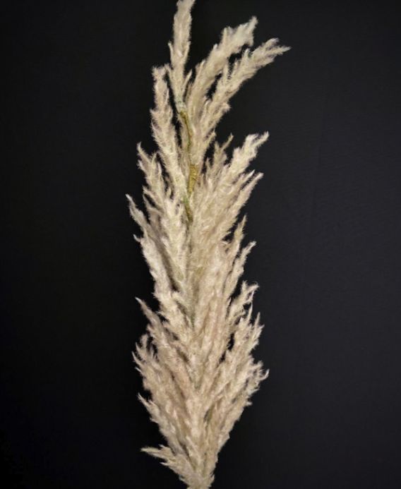 47" Tan Grass Plum