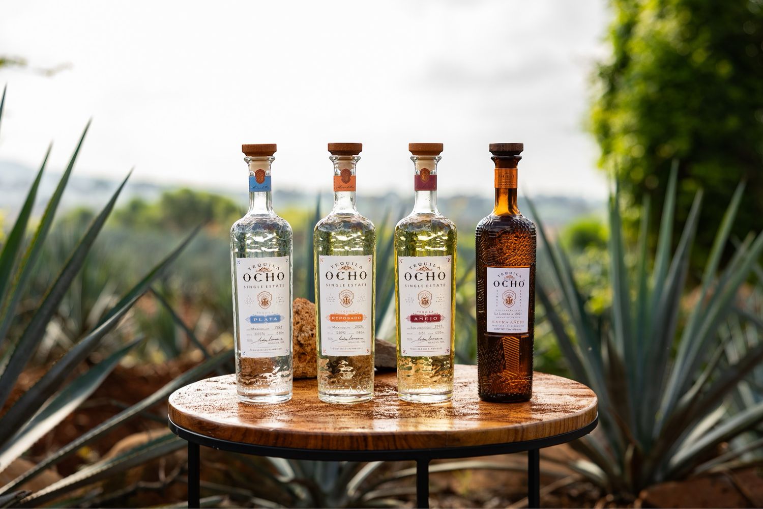 The Ocho Exclusive Tasting Experience.