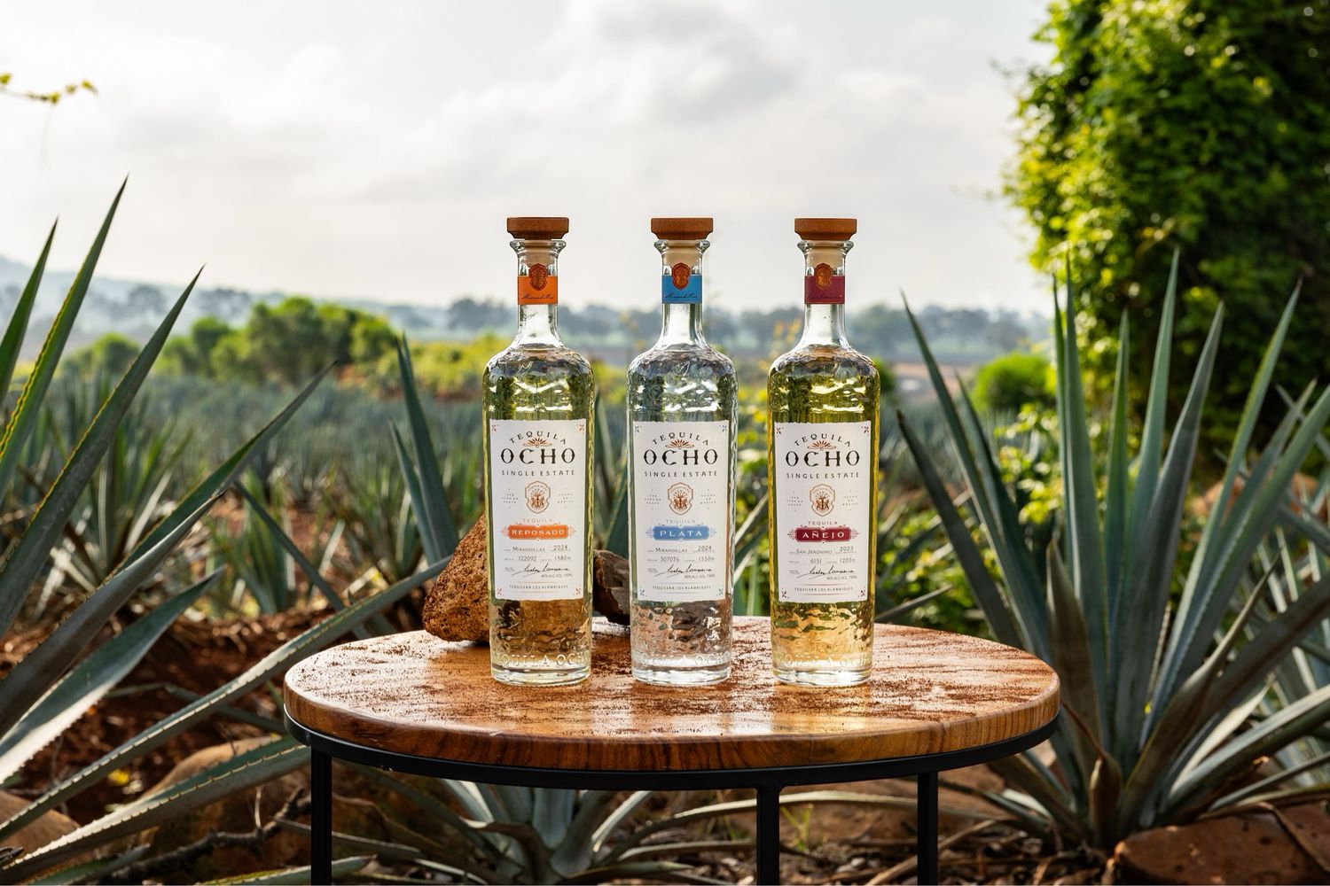 The Ocho Exclusive Tasting Experience.