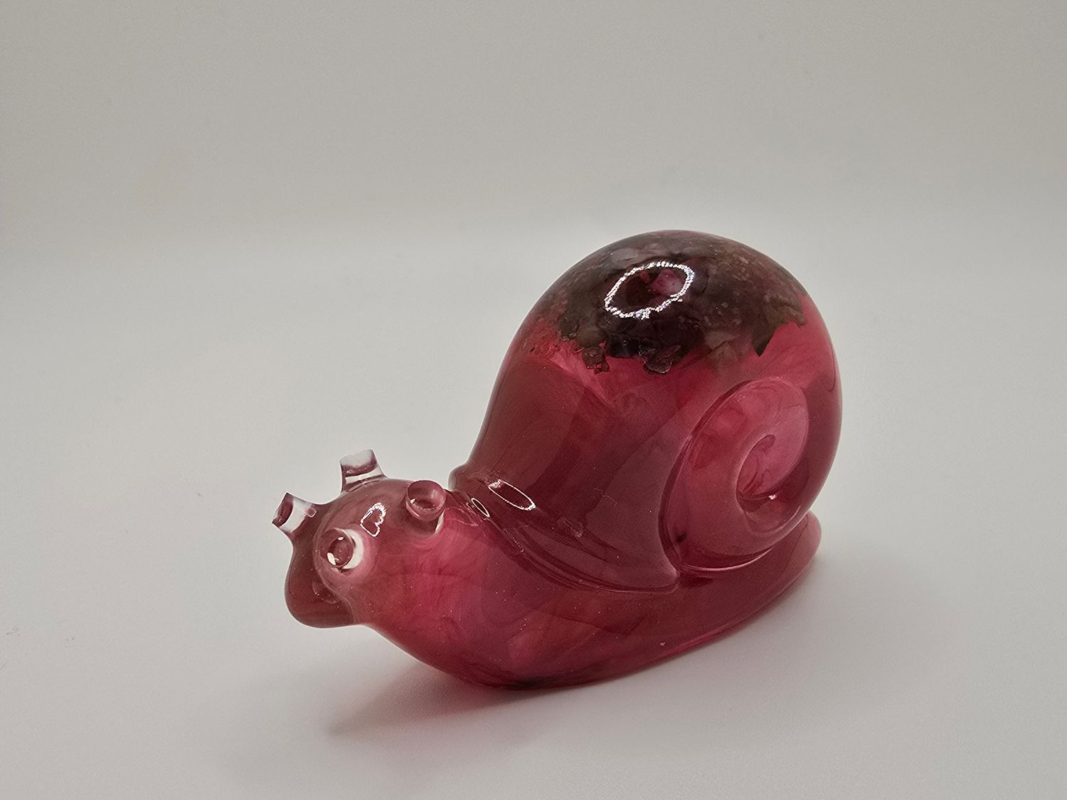 snail