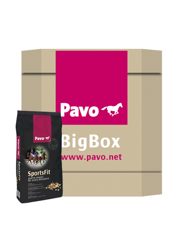 Pavo SportsFit bigbox 450 kg