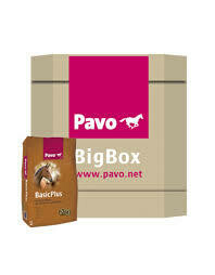 Pavo Basic Plus BigBox 725 kg