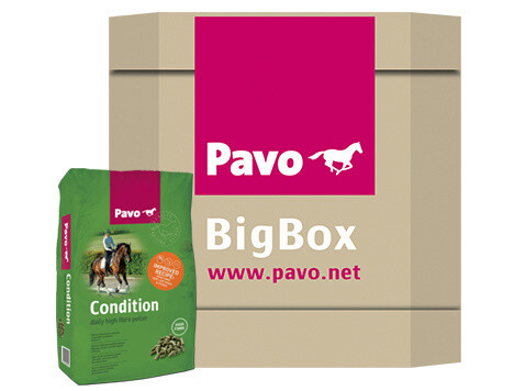PavoCondition BigBox 725 kg
