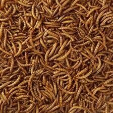 gedroogde meelwormen 2.5 L