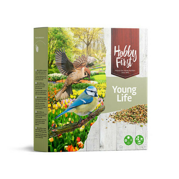 Hobbyfirst Young Life 850gr
