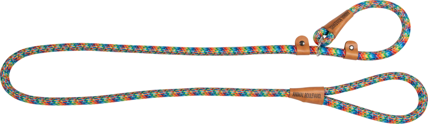 School leash regenboog