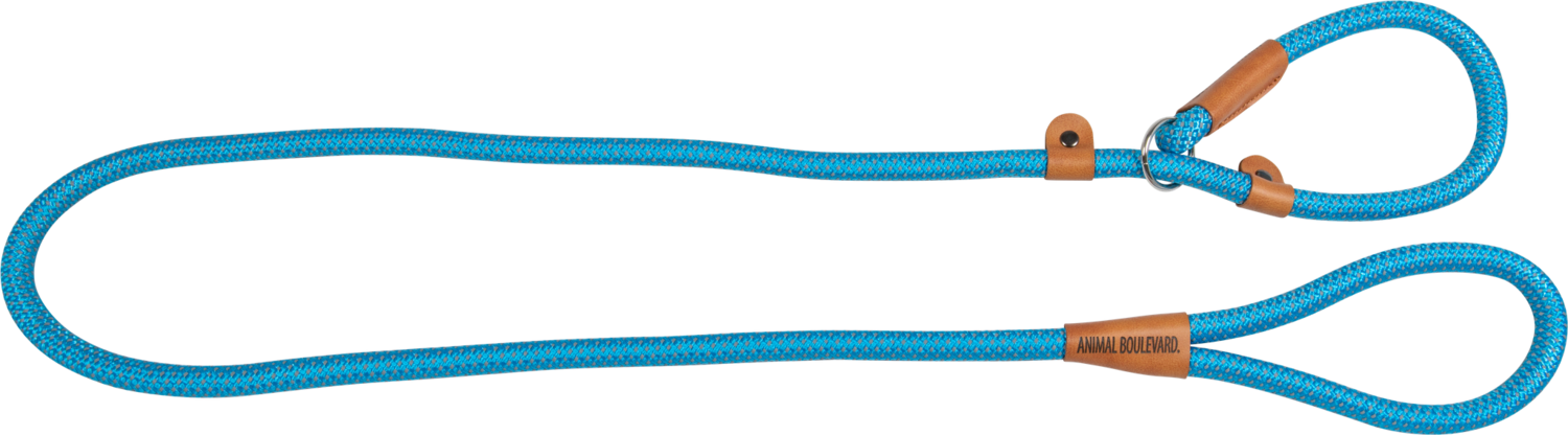 School leash blauw