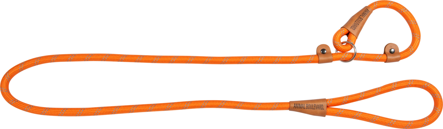 School leash Oranje