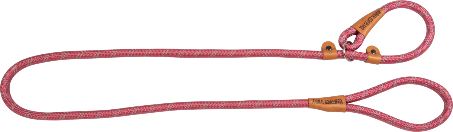 School leash roze
