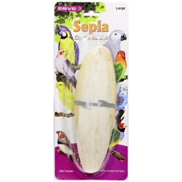 Sepia schelp XLarge