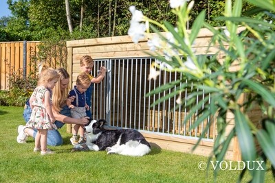 Hondenkennel Luna