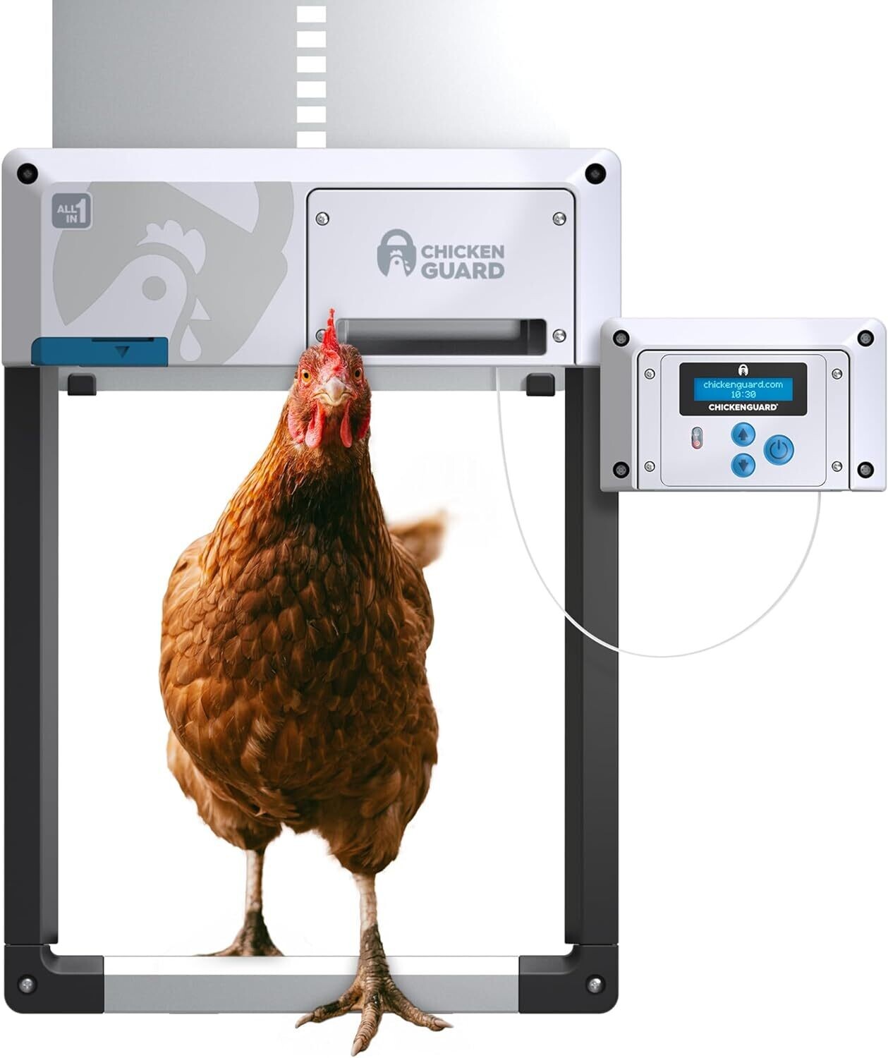 Chickenguard  All in one NIEUW